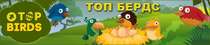 Игра про птиц Top Birds