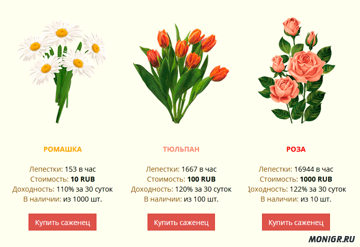 Маркетинг в Farm Flower