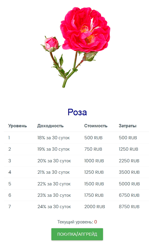 Саженец Роза в Flower Farm Game