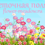 Flower Meadow - зарабатывай на цветах