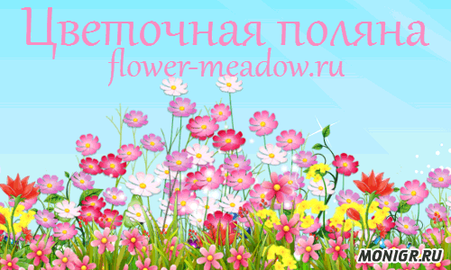 Flower Meadow - зарабатывай на цветах