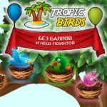 Tropic Birds