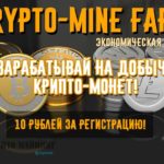 Crypto-Mine Farm