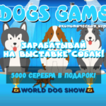 Dogs Game - Город собак