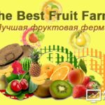 The Best Fruit Farm - Лучшая фруктовая ферма